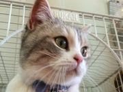 那須おーくんふれあい牧場の写真3