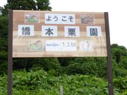 橋本栗園の写真3