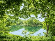 中央第1リフトの写真4