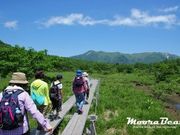 Moora Beat(ムーラビート)の写真3