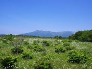 Moora Beat(ムーラビート)の写真4