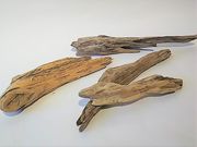 君思い、花は微笑むの写真3