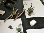 君思い、花は微笑むの写真2