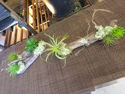 君思い、花は微笑むの写真4