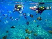 沖縄 triple marineの写真2