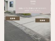 Serene Dayの写真3