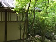 春日庵の写真4
