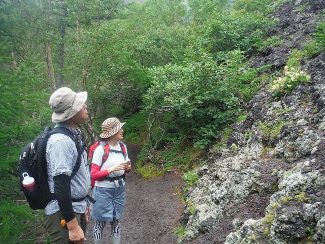 ガイドが富士山の自然解説をしていきます(富士登山・富士下山)_Nagomi Nature Connections