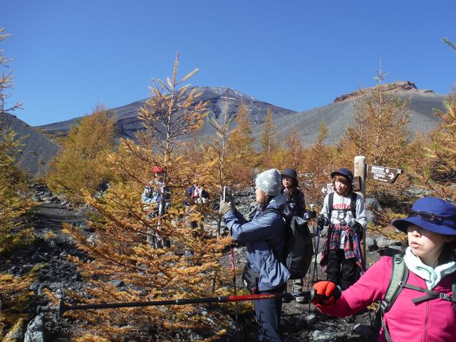 富士山には知られざる自然が沢山。(富士下山)_Nagomi Nature Connections