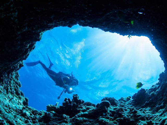 私たちが住んでいる地球の70%が海!この世界を知らないなんてもったいない!_AQCIA divehouse