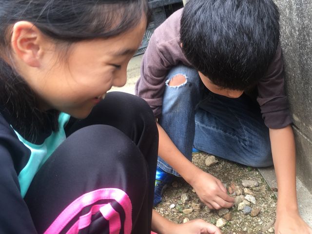 兄弟仲良く土遊び 楽しそうdえす。_戸田果樹園