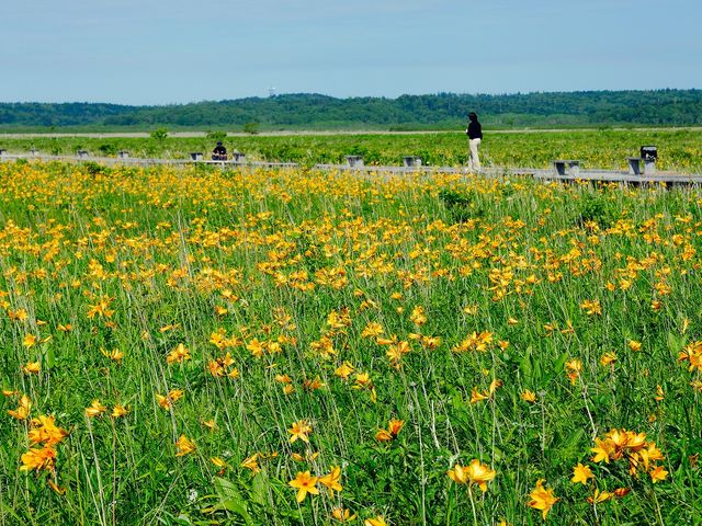 霧多布湿原ナショナルトラスト