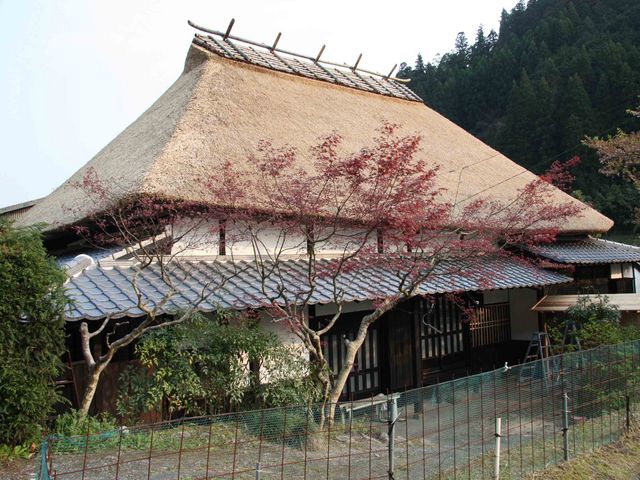 里楽