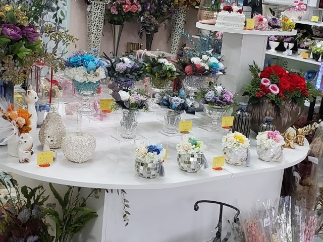 NINA Preserved Flower Shop&School