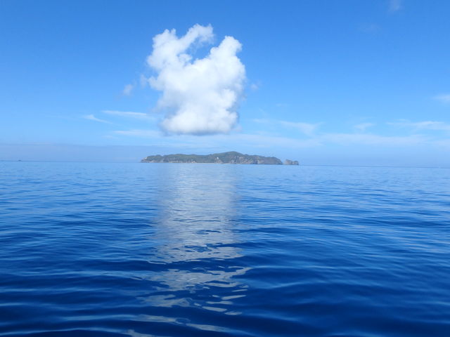 夏の海_ダイブリゾート母島