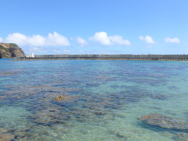 春の脇浜_ダイブリゾート母島