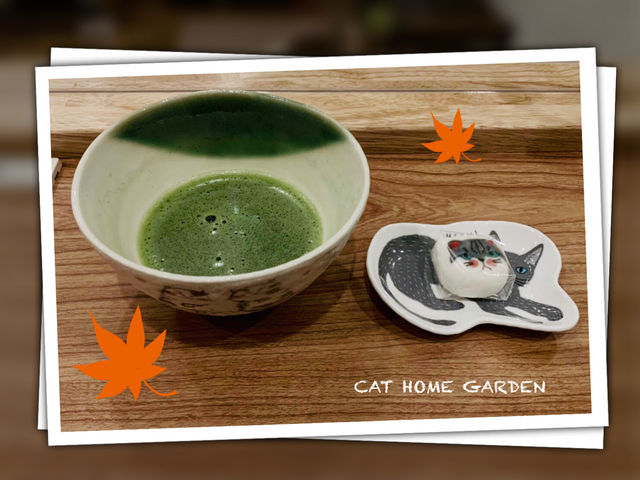 譲渡型保護猫カフェ CAT HOME GARDEN