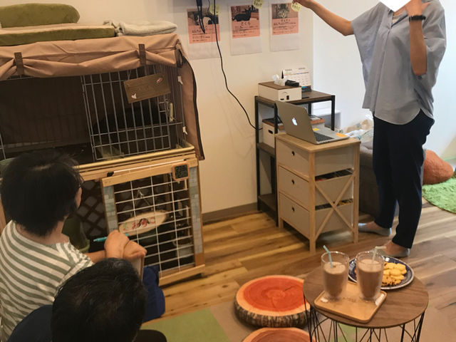譲渡型保護猫カフェ CAT HOME GARDEN