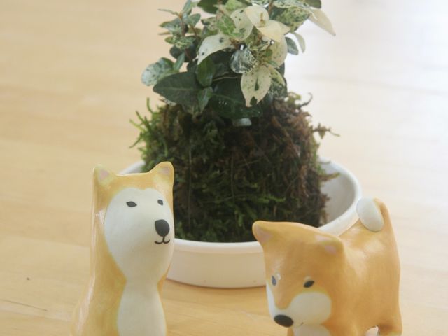 人気の苔玉づくり_花の駅*つぐみ工房