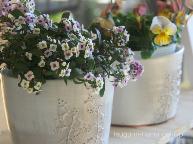 フラワーポットづくり_花の駅*つぐみ工房