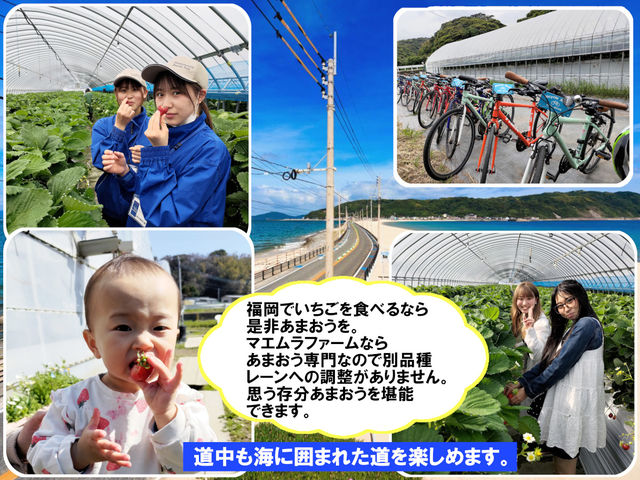 マエムラファーム