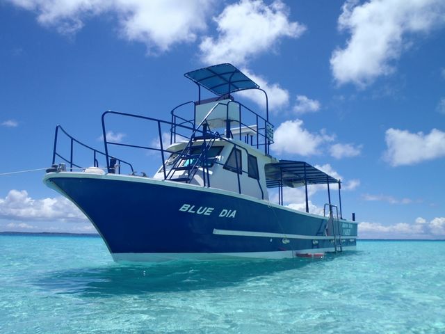 Marine Shop ヤビジ