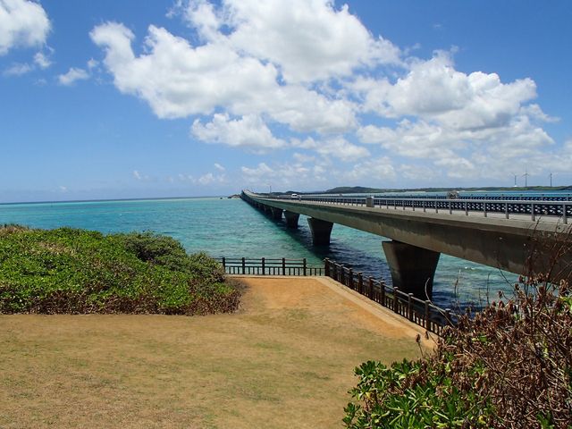 Marine Shop ヤビジ