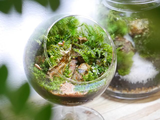moss-connect