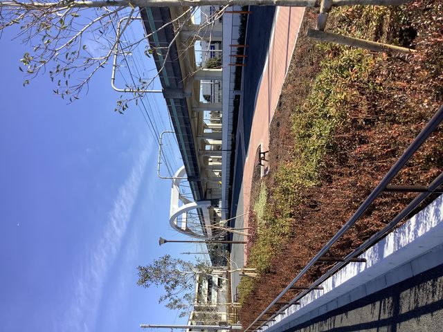 近くにある公園整備されました!_ゆめが丘農園