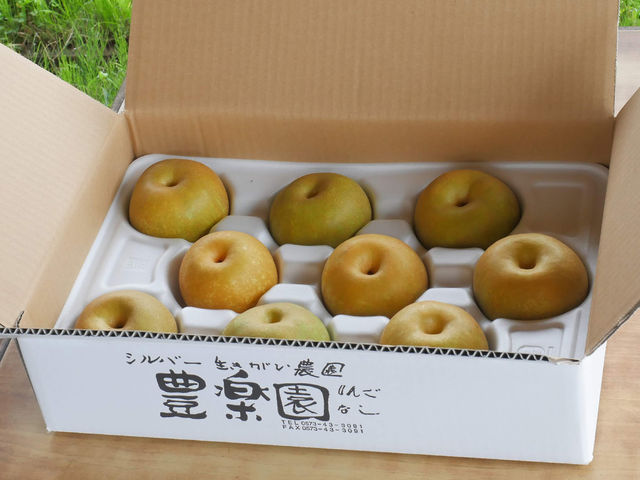 贈答用の梨のギフト箱もどうぞ♪_豊楽園
