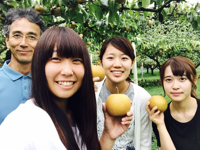 木陰でゆっくり、じっくり選んでおいしい果実を採ってください。必要な道具(レジャーシート以外)は無料貸し出し。_豊楽園