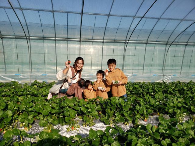 4兄弟とお母さん。仲良くやよいひめをたくさん食べてくれました。良いお天気でよかったですね。ありがとうございました!_ストロベリーランド筑西