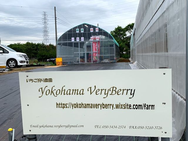 Yokohama Very Berry