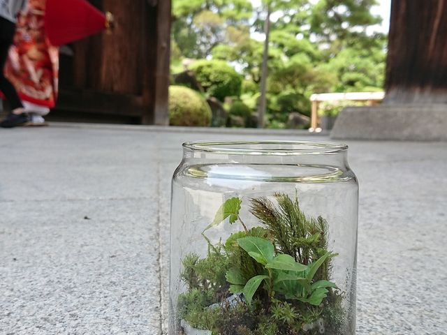 ラディアンス