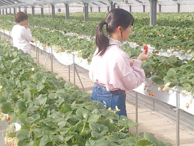 あきちゃん農園