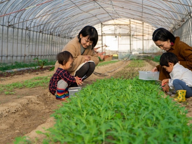 二組の親子さん。野菜に話しかけながら。_Vegefulport