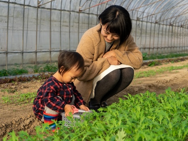これがいいかな?_Vegefulport
