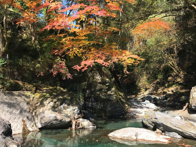 紅葉の赤と行川ブルーのコントラストにうっとり。_ふれあいの里なめかわ