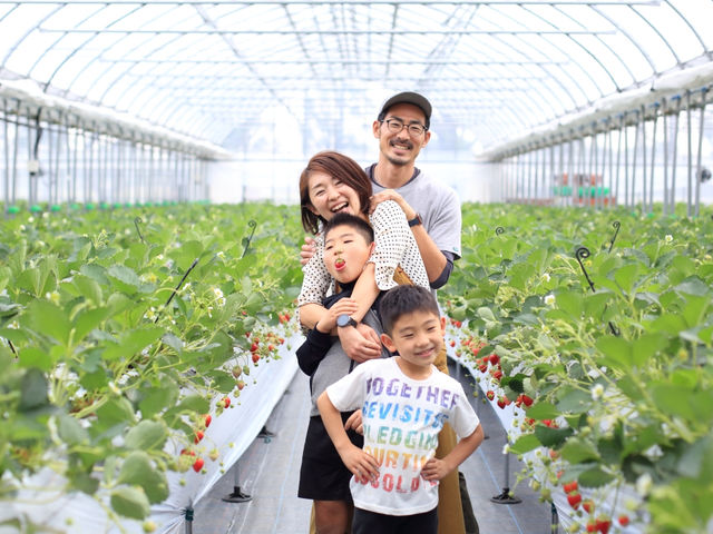 SENOU FARM