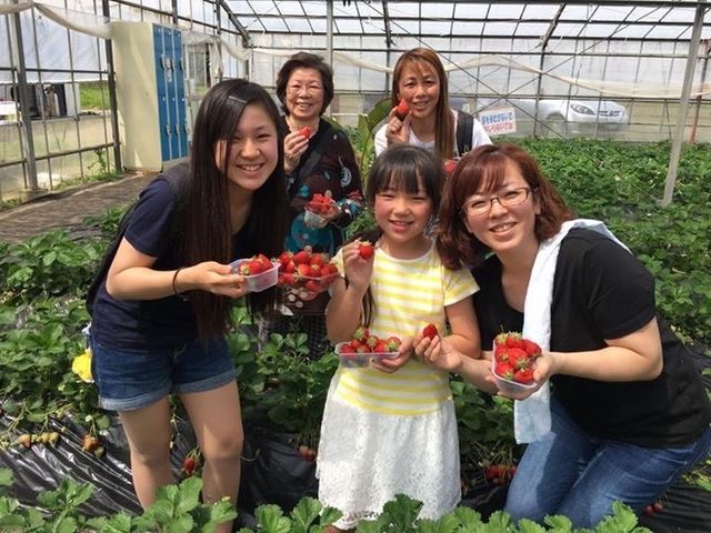 藤代いちご園