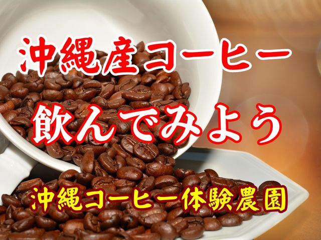 沖縄産コーヒーを飲んでみよう_沖縄コーヒー体験農園