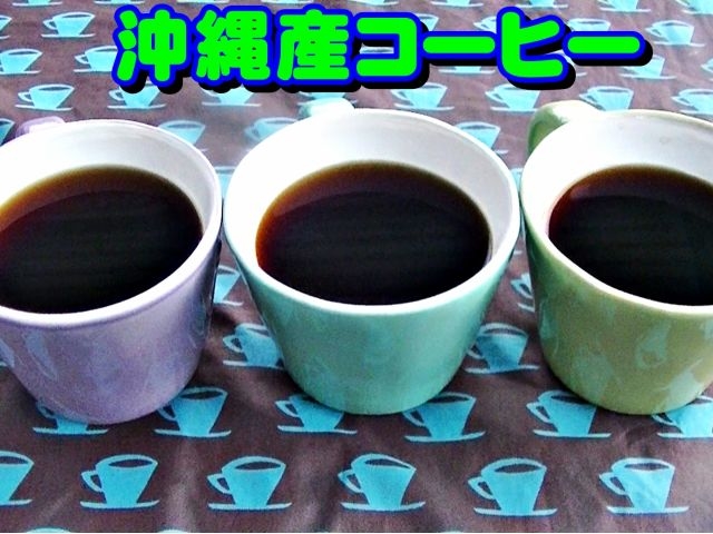 沖縄産珈琲_沖縄コーヒー体験農園