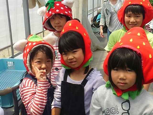 いちご狩りが子どもたちにとって素敵な思い出になるように、いちご帽子などを用意しています。
大人も被れますので、ぜひみんなで被って素敵な思い出を作ってください!_のんほいイチゴ園とよはし