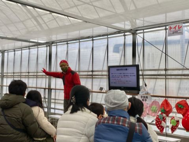 いちご狩りを始める前に、みんなで少しだけお勉強。
大人も「知らなかったー」というようなミニ知識もゲットできます。_のんほいイチゴ園とよはし