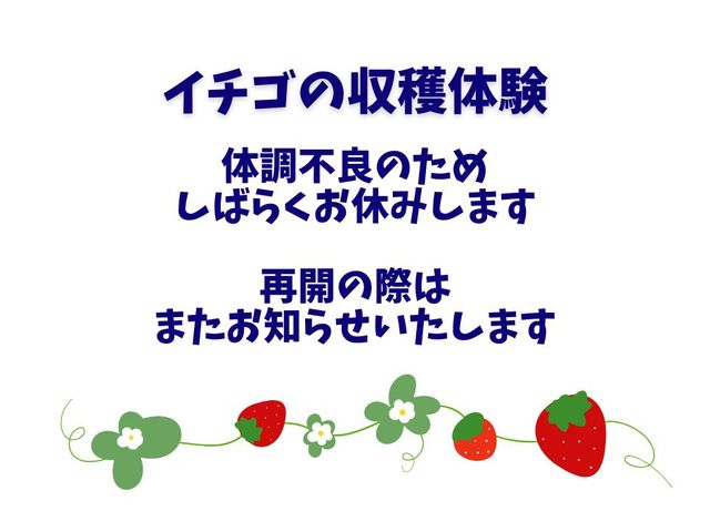 2025年4月9日
体調不良のため、しばらくお休みいたします。_くわの農園