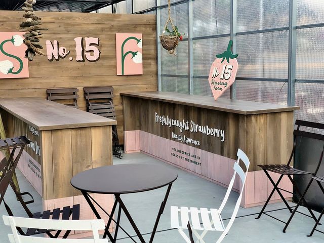 Strawberry Farm No.15 (the Farm UNIVERSAL いちご園)
