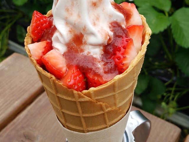 大人気のいちごソフトです!_ゆきもと農園 いちご・ぶどうの観光農園