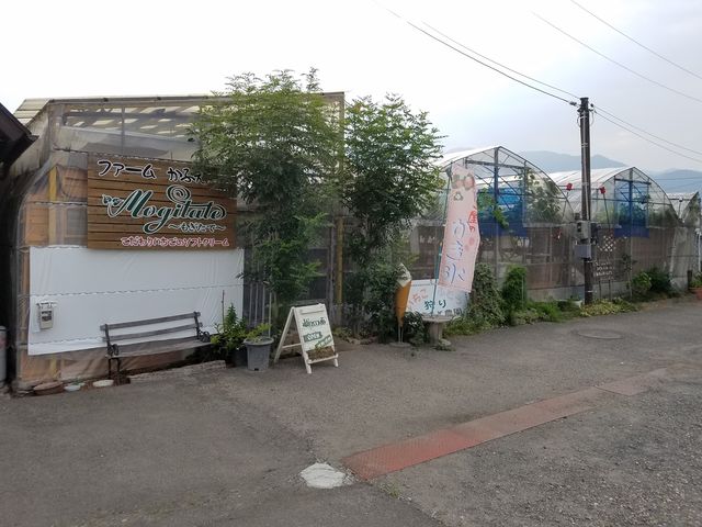 綺麗なビニールハウスで雨の日も安心_ゆきもと農園 いちご・ぶどうの観光農園