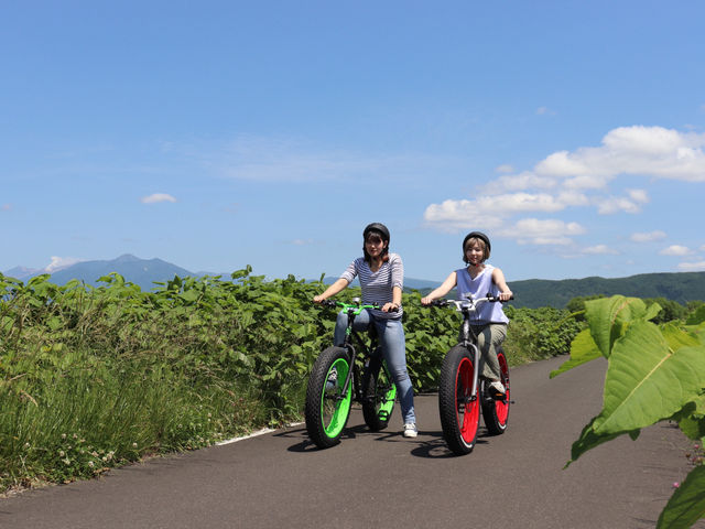waves レンタル自転車・スキー・スノーボード