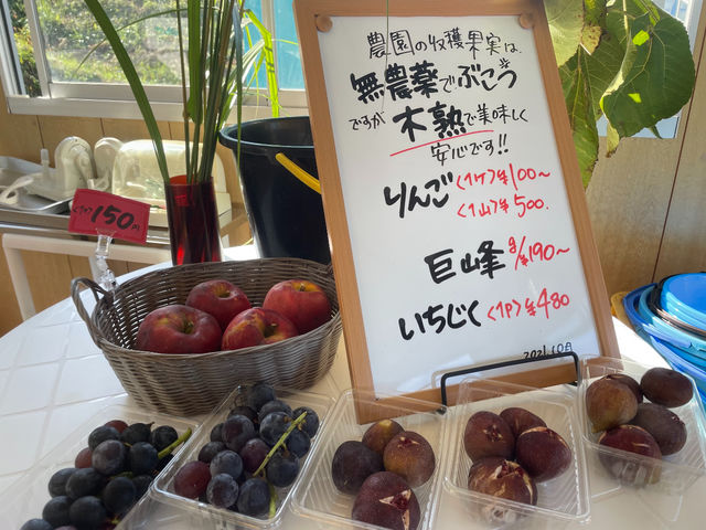 農園で収穫したフルーツを少しだけ直売している時があります(不定期)
_八ヶ岳フルーツ農園